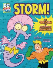 Dc Super Pets: Storm Sc The Origin Of Aquaman's Seahorse Illustrated Novel