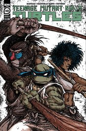 Teenage Mutant Ninja Turtles (2011) #143 Cvr B Eastman