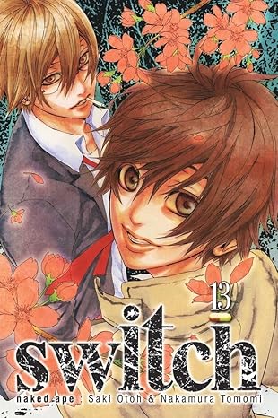 Switch Gn Vol 13