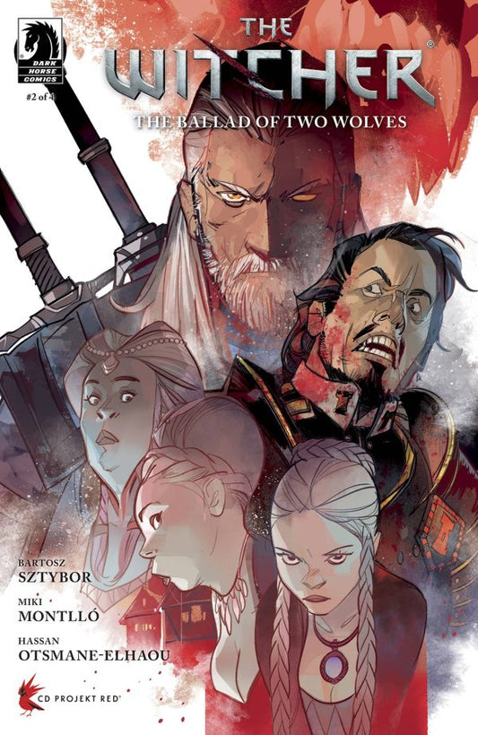 Witcher: The Ballad Of Two Wolves #2 (Of 4) Cvr C Schmidt